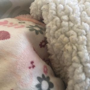 Meet your Posher, Ebony